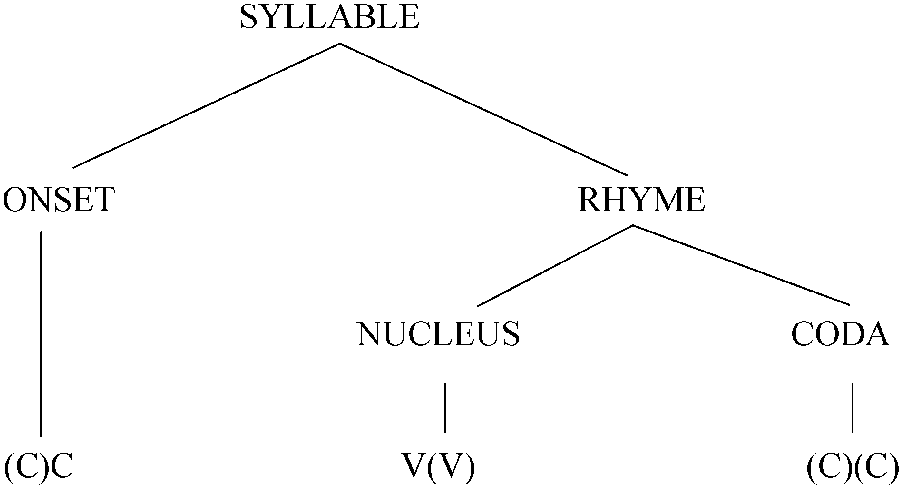 13.2 The Structure of English Syllable